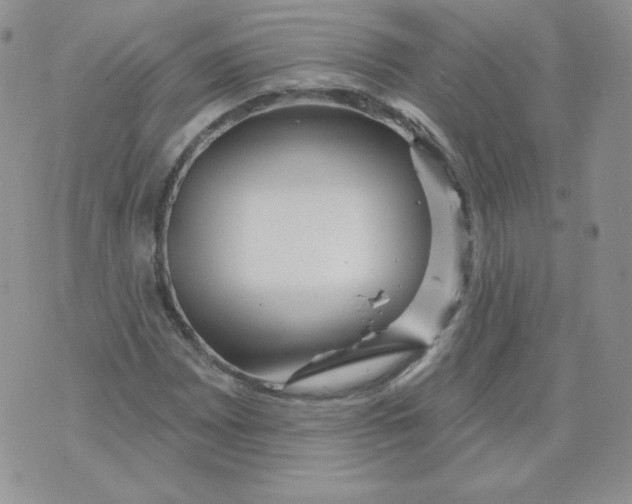 X0000071851065200607211846