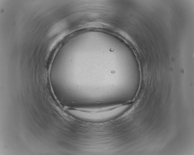 X0000071851067200607211846