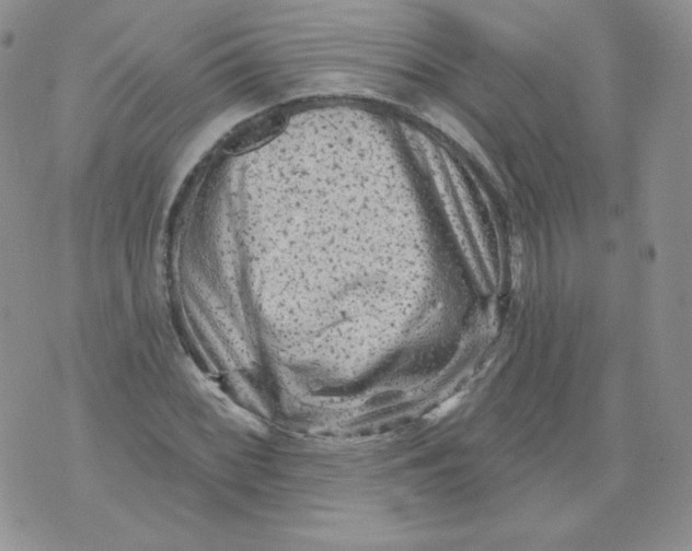 X0000071851068200607211846