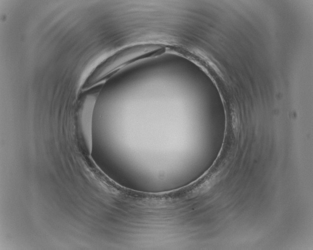 X0000071851069200607211846