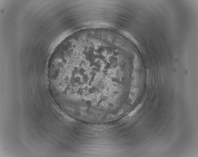 X0000071851071200607211846