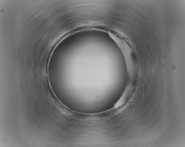 X0000071851073200607211846