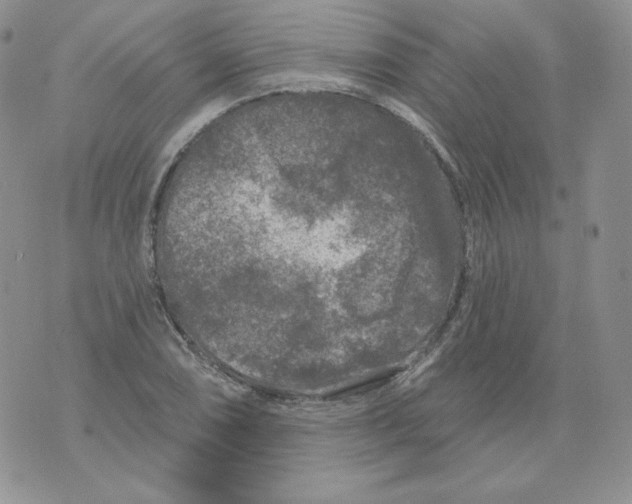 X0000071851074200607211846