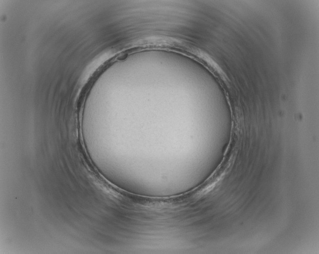 X0000071851075200607211846