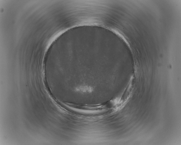 X0000071851077200607211846