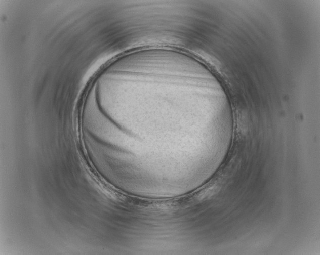 X0000071851078200607211846