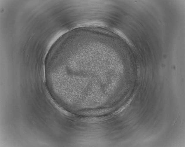 X0000071851079200607211846