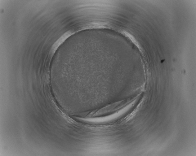 X0000071851081200607211846