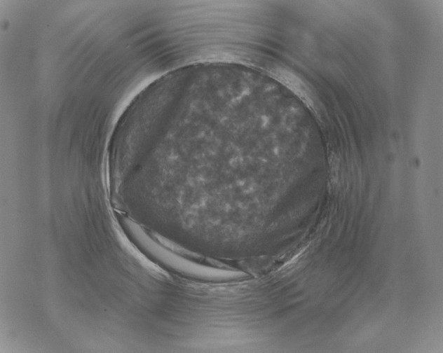 X0000071851084200607211846