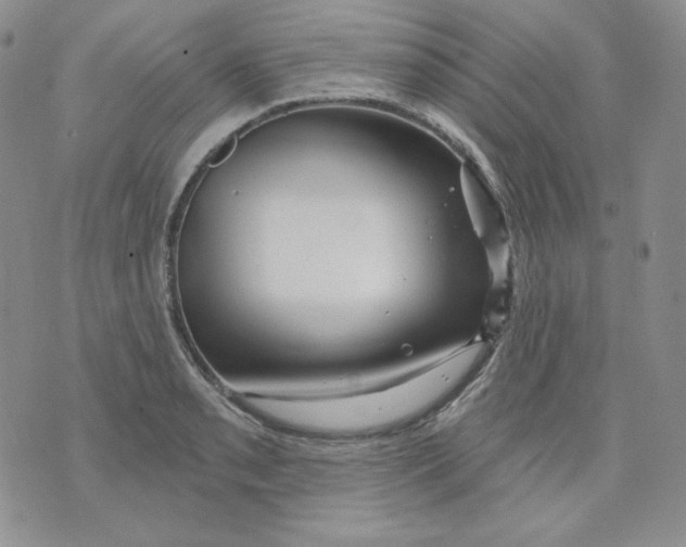 X0000071851085200607211846