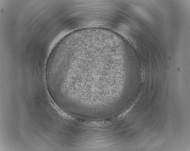 X0000071851086200607211846