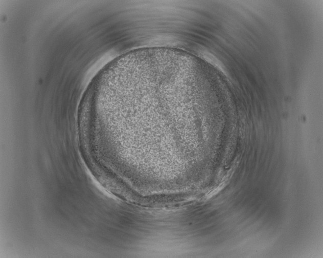 X0000071851087200607211846