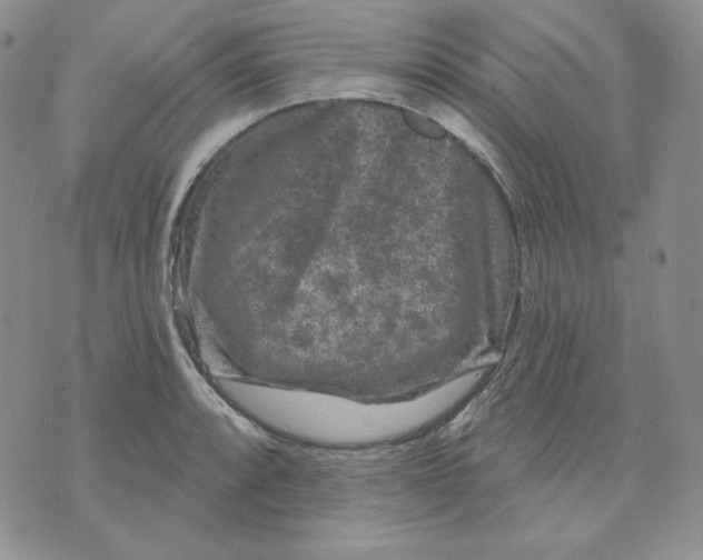 X0000071851088200607211846