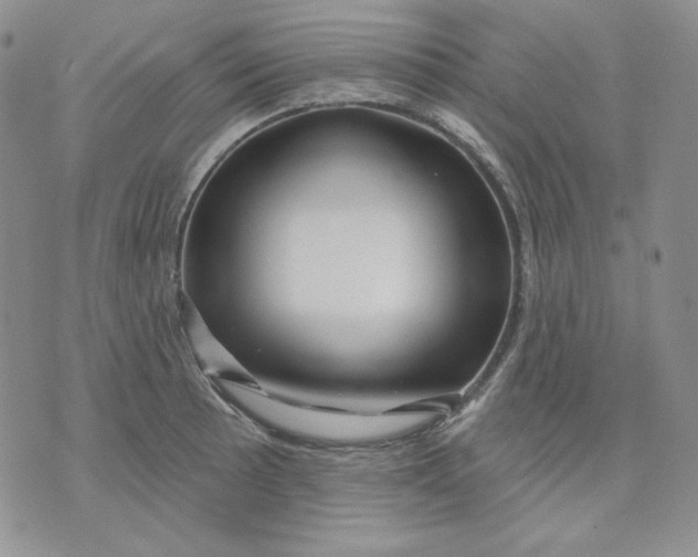 X0000071851089200607211846