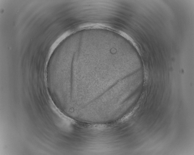 X0000071851090200607211846