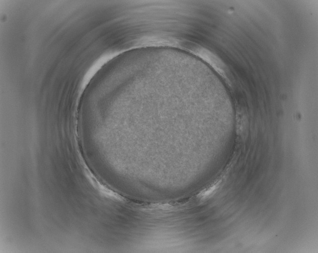 X0000071851094200607211846