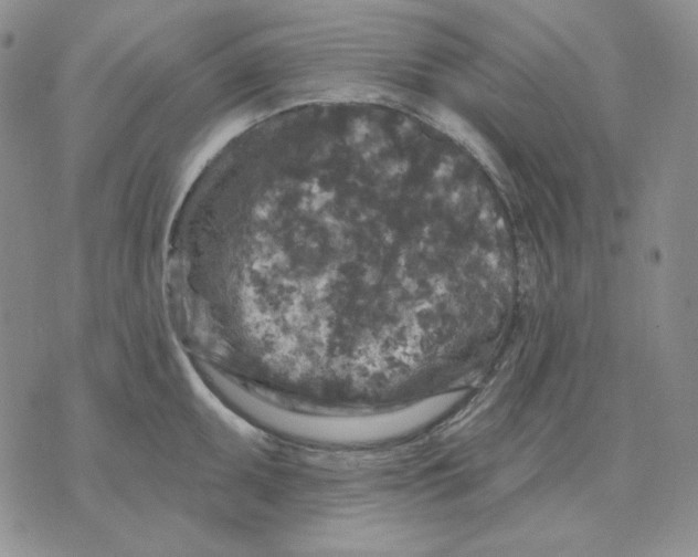 X0000071851095200607211846