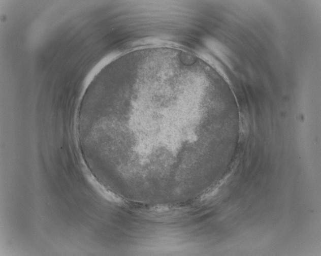 X0000071851098200607211846