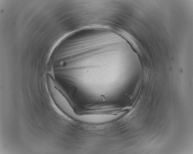 X0000071851100200607211846