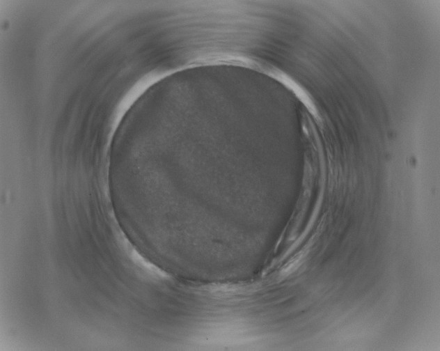 X0000071851102200607211846