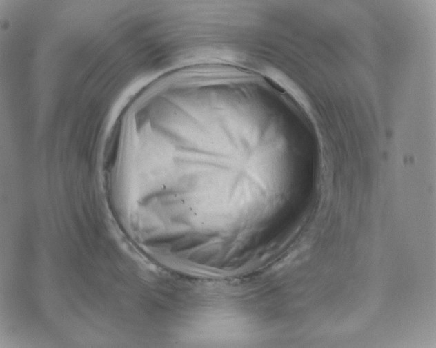 X0000071851104200607211846