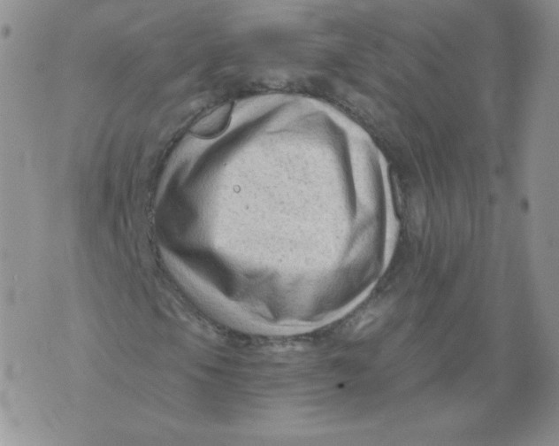 X0000071851105200607211845