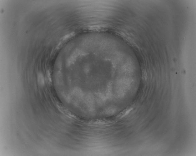 X0000071851106200607211845