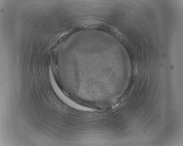 X0000071851108200607211845