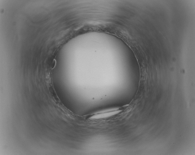 X0000071851109200607211845