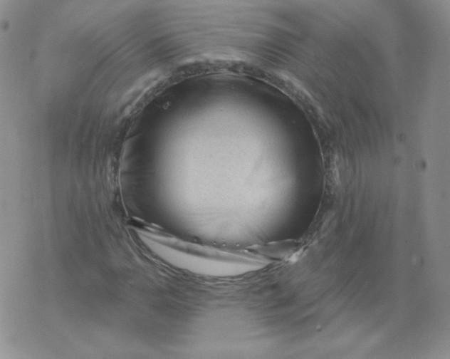 X0000071851110200607211845