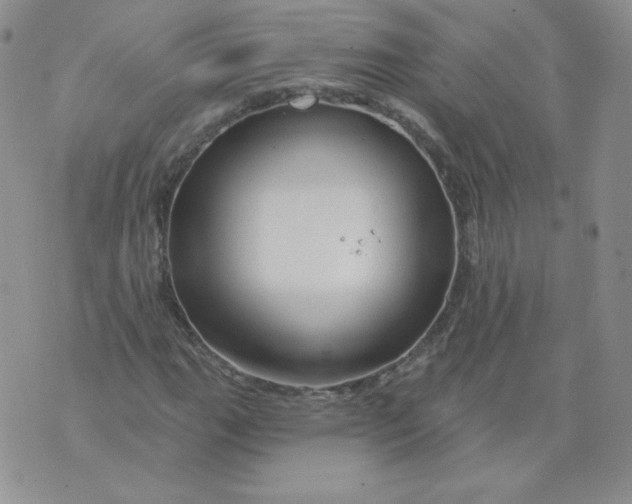 X0000071851111200607211845