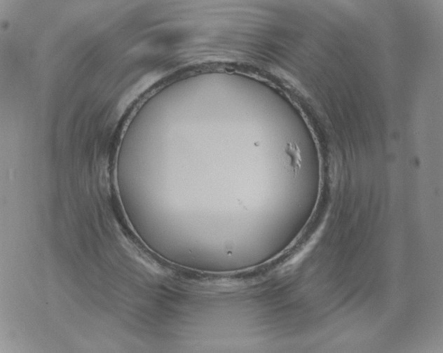 X0000071851113200607211845