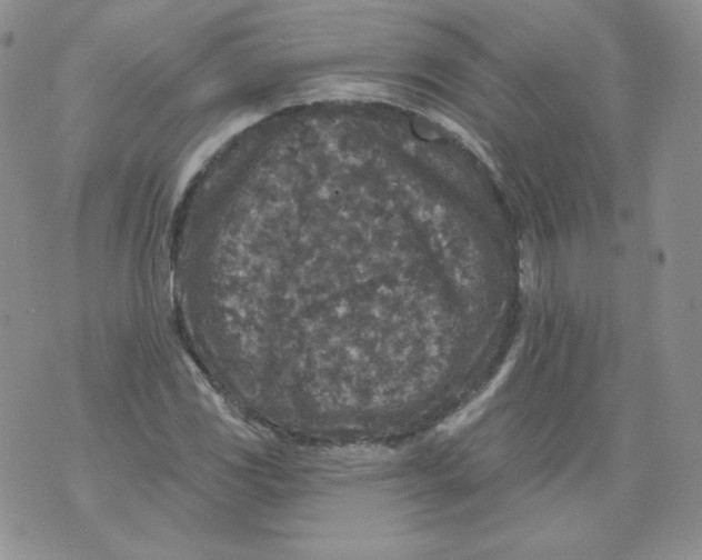 X0000071851117200607211845