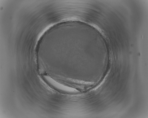 X0000071851118200607211845