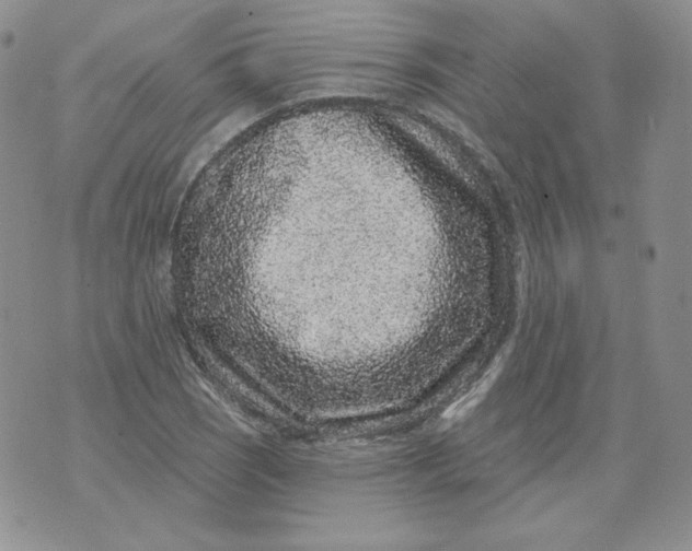 X0000071851121200607211845