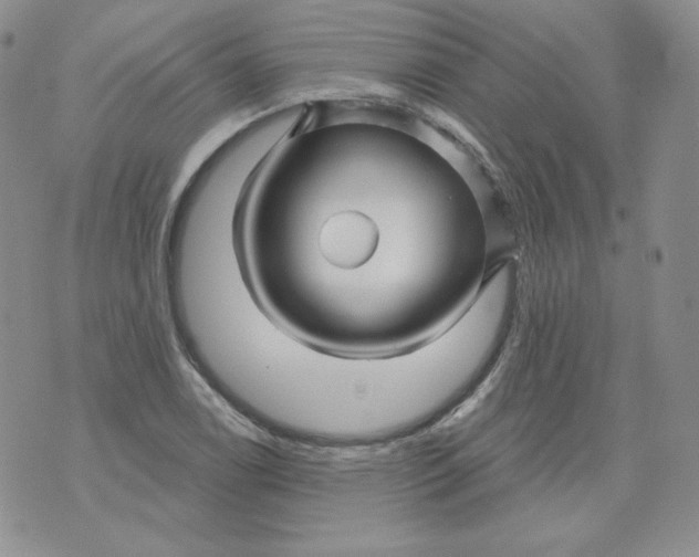 X0000071851122200607211845