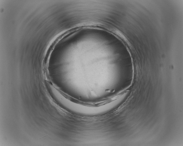 X0000071851124200607211845