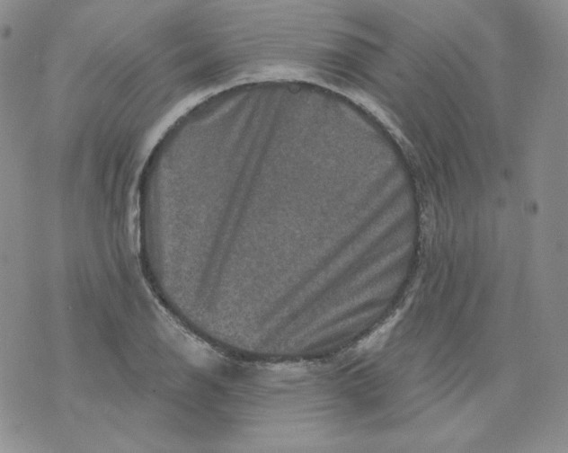 X0000071851126200607211845