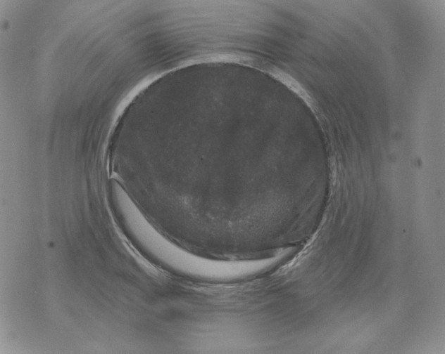 X0000071851127200607211845