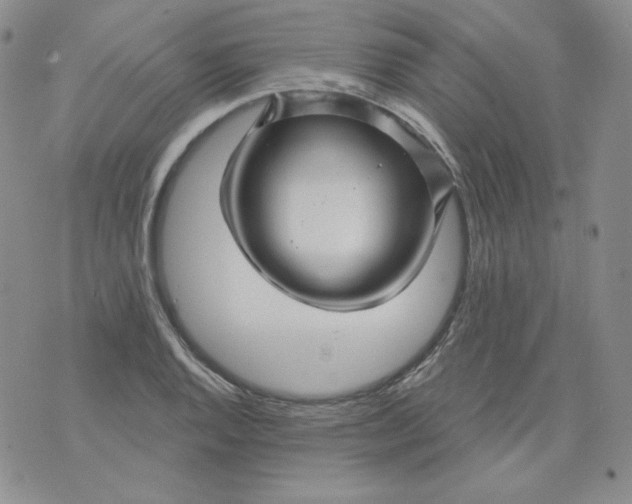 X0000071851128200607211845