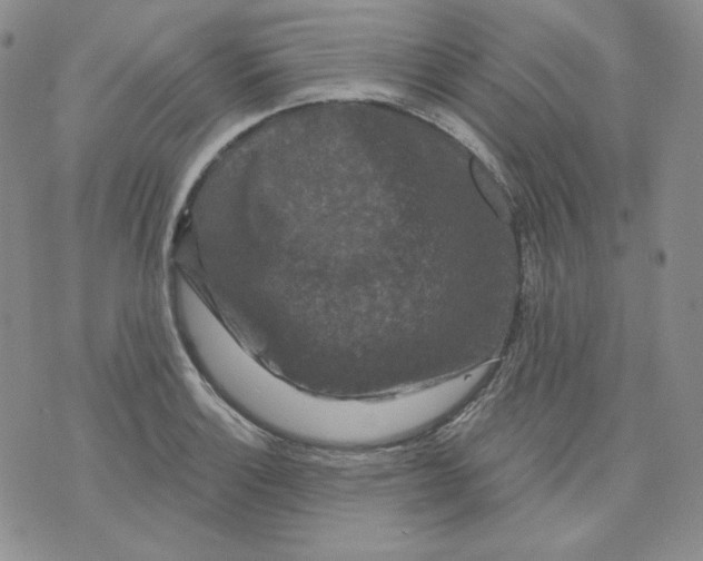 X0000071851132200607211846