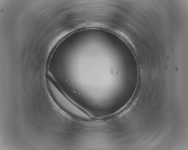 X0000071851133200607211846