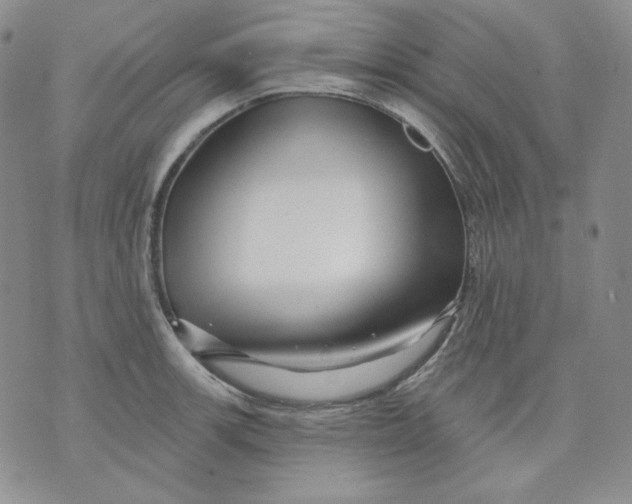 X0000071851139200607211846