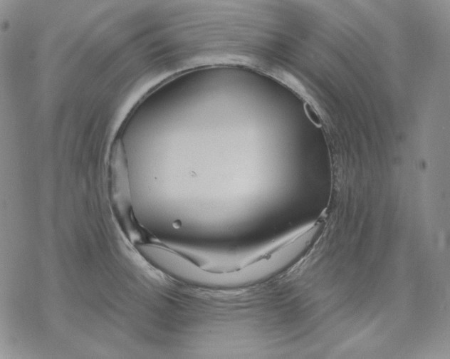 X0000071851140200607211846