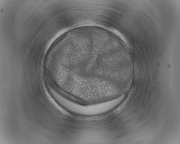 X0000071851142200607211846