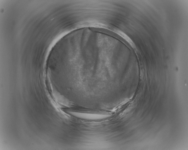 X0000071851144200607211846