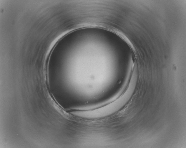 X0000071851148200607211846