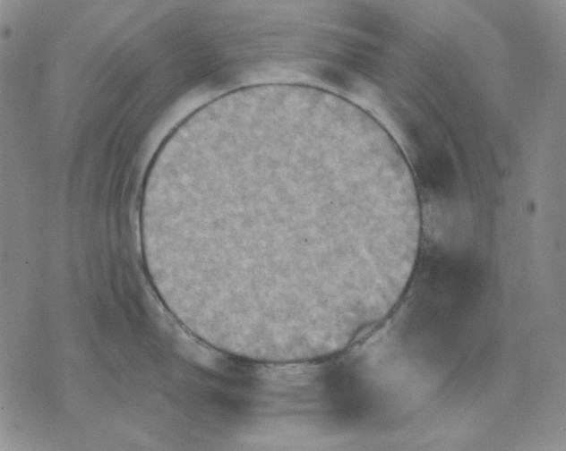 X0000071851150200607211846