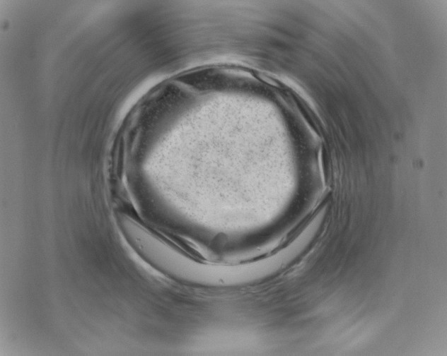 X0000071851151200607211846