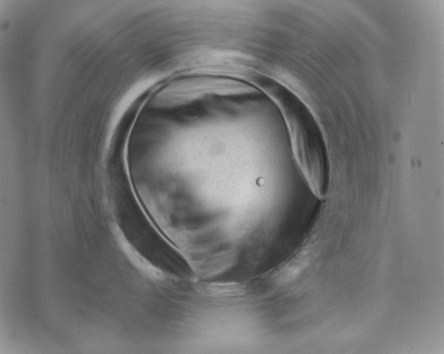 X0000071851152200607211846